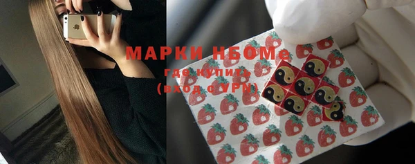 ГАЛЛЮЦИНОГЕННЫЕ ГРИБЫ Лабытнанги