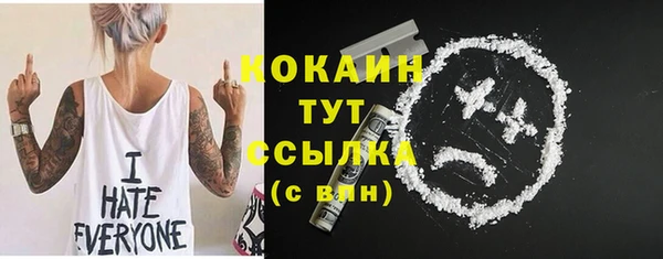 ГАЛЛЮЦИНОГЕННЫЕ ГРИБЫ Лабытнанги