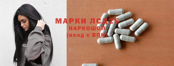 ГАЛЛЮЦИНОГЕННЫЕ ГРИБЫ Лабытнанги