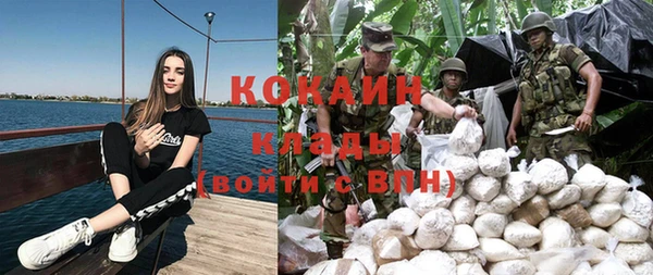 винт Ладушкин