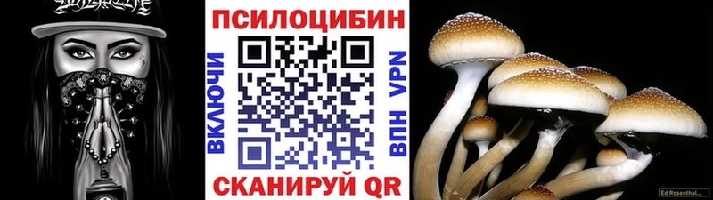 продажа наркотиков  Власиха  Галлюциногенные грибы Psilocybine cubensis 