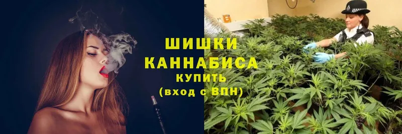 как найти закладки  МЕГА ССЫЛКА  Шишки марихуана индика  Власиха 